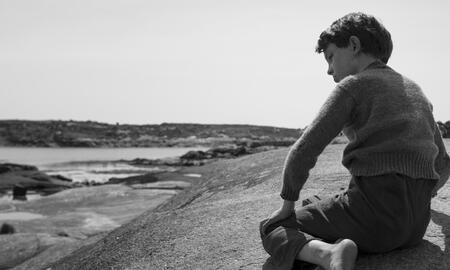 Galerie Foto