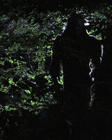 Foto im Vollbild
