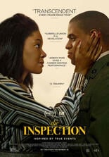 The Inspection