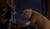 Hintergrund