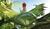 Hintergrund