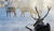 Hintergrund
