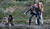 Hintergrund