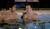 Hintergrund