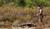Hintergrund