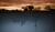 Hintergrund