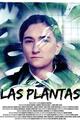 The Plants