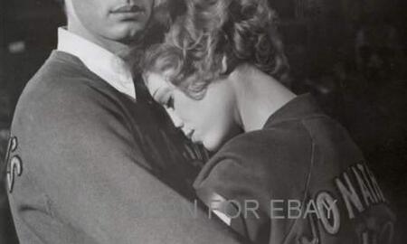 Galerie Foto