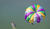 Hintergrund