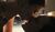 Hintergrund