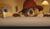 Hintergrund