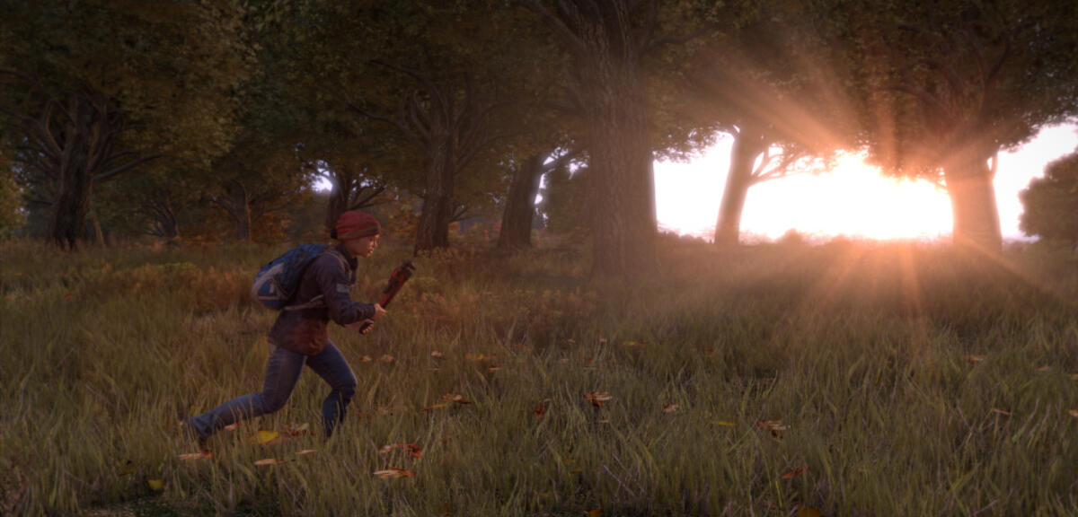 DayZ