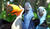 Hintergrund