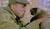 Hintergrund