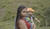 Hintergrund