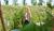 Hintergrund