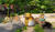 Hintergrund