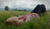 Hintergrund