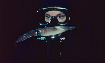 Galerie Foto