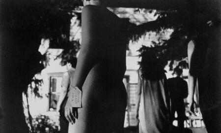 Galerie Foto