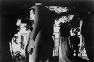 Foto im Vollbild