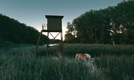 Galerie Foto