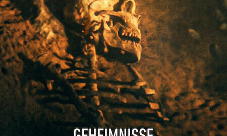 Galerie Foto