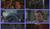 Hintergrund
