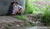 Hintergrund