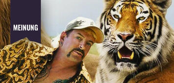 Bild zu:  Staffel 1 von Tiger King wurde zum absoluten Überraschungserfolg bei Netflix