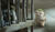Hintergrund
