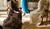 Hintergrund