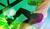 Hintergrund
