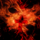 DragonBlood