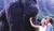 Hintergrund