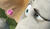 Hintergrund