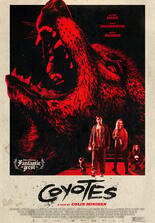 Coyotes