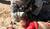 Hintergrund