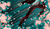 Hintergrund