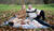Hintergrund