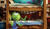 Hintergrund