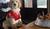 Hintergrund