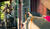 Hintergrund