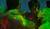 Hintergrund