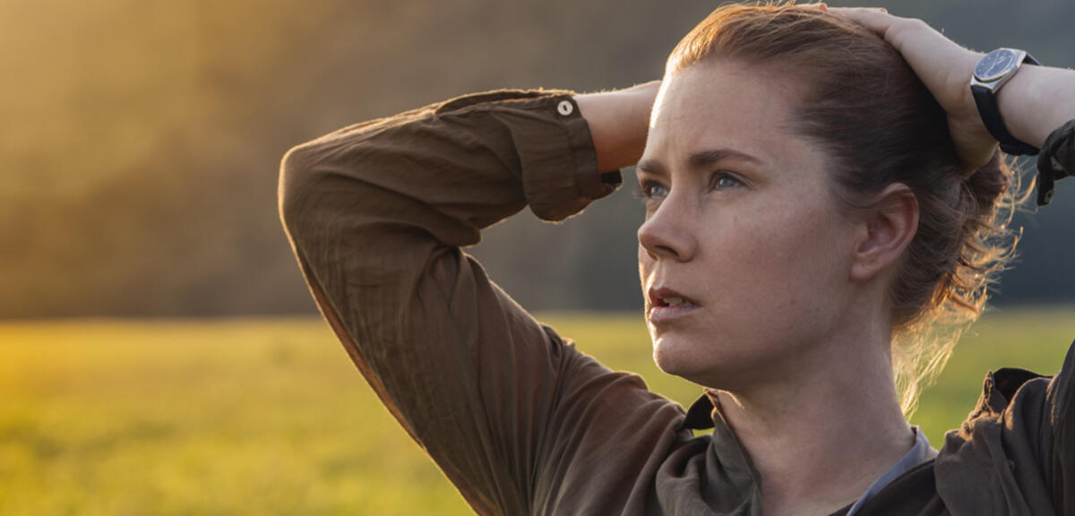 Amy Adams in Arrival