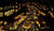 Hintergrund