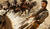 Hintergrund