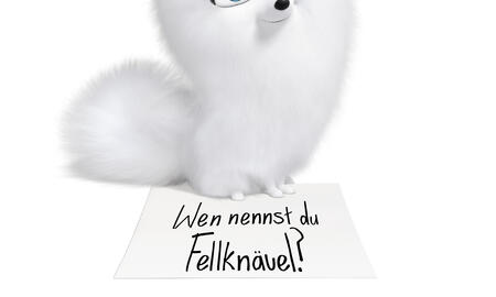 Galerie Foto