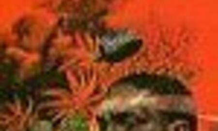 Galerie Foto