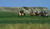Hintergrund